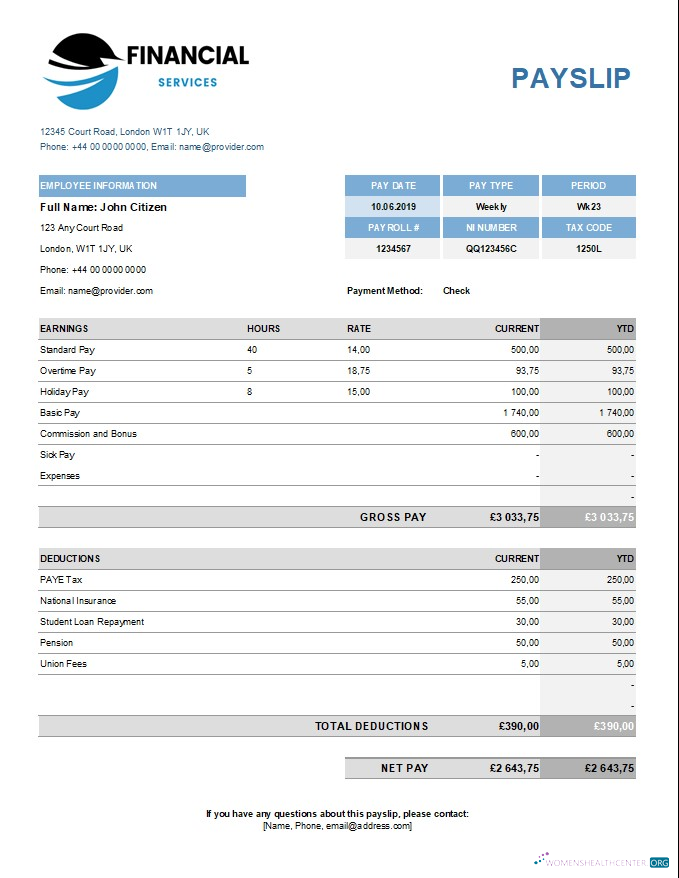 Download Financical services payslip template in Excel and PDF formats Photoshop template